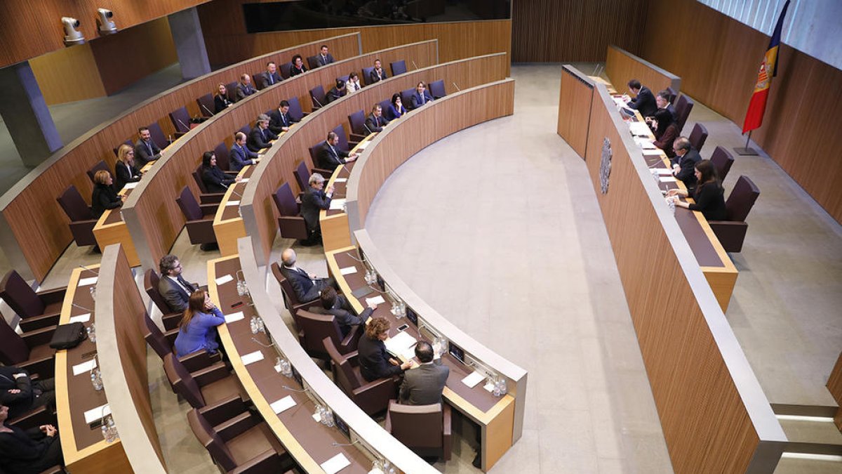 Ld'A preguntarà pel malestar entre el personal del SAAS