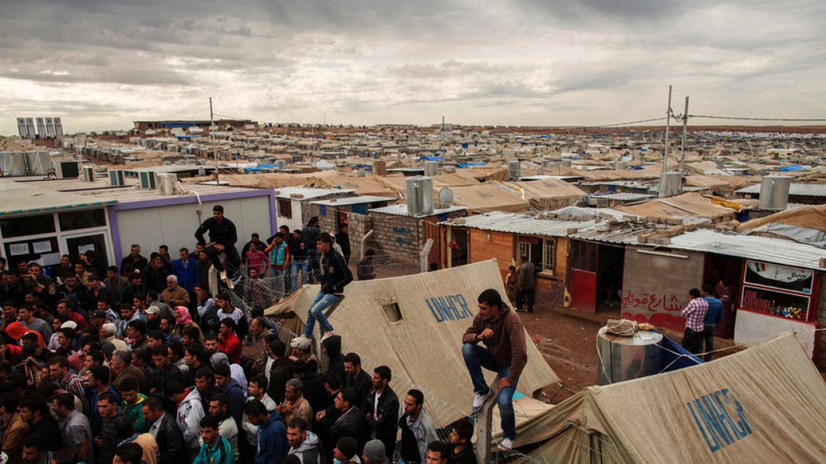 Protocol per acollir uns 20 refugiats en un any