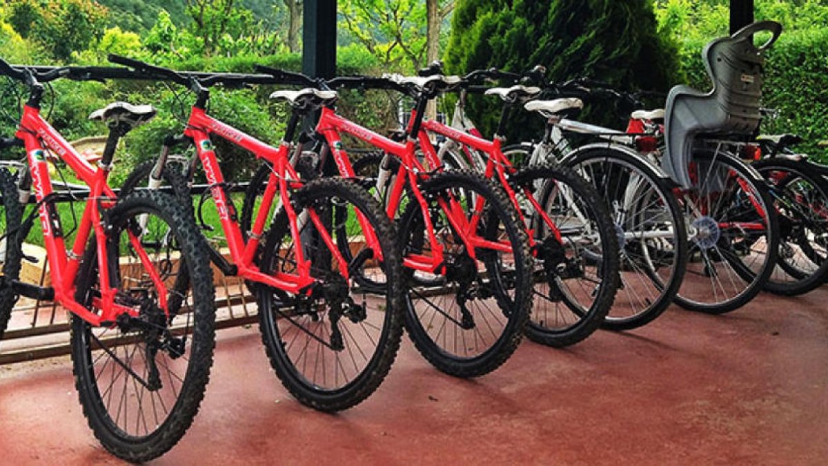Petició de presó condicional per sostreure bicis d'alta gamma