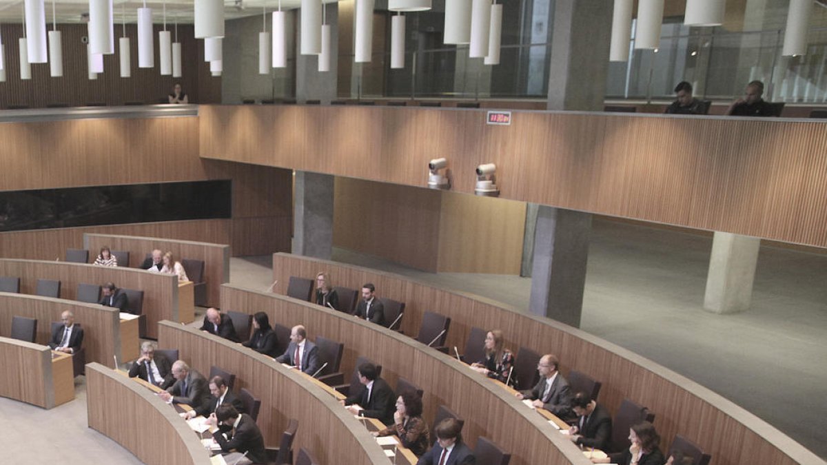 El síndic afegeix limitacions als parlamentaris