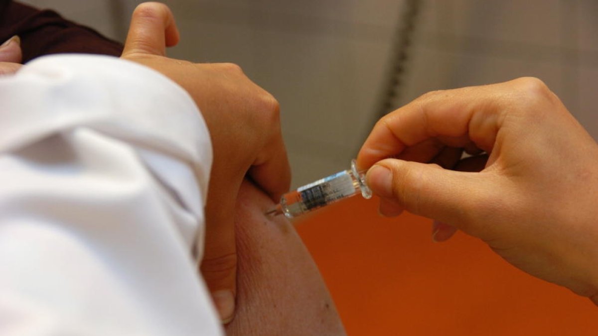 Onze casos de galteres durant aquest any