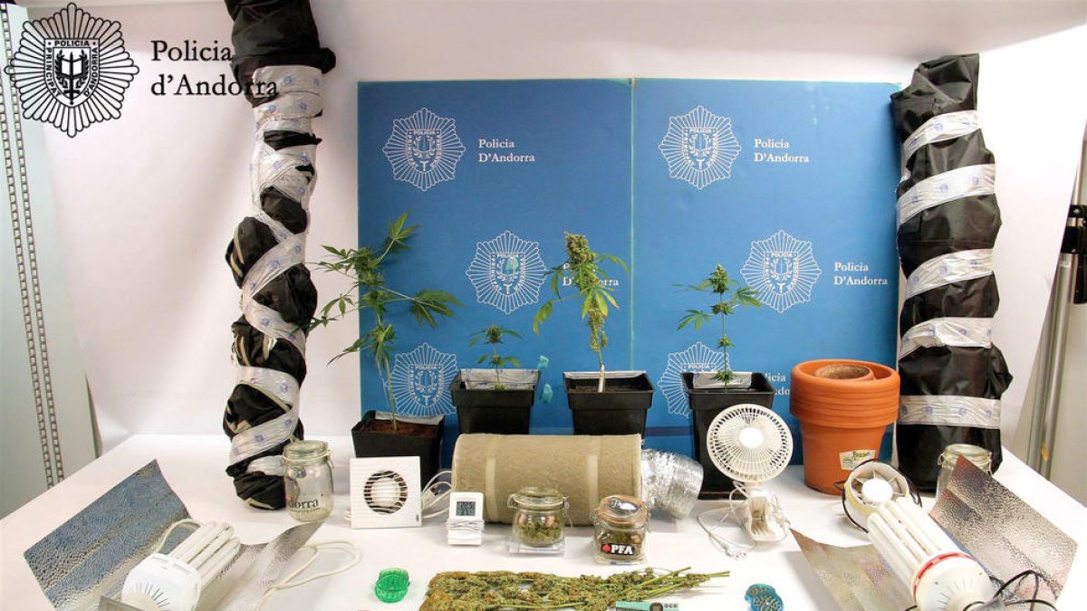 Desmantellen un hivernacle de marihuana a Encamp