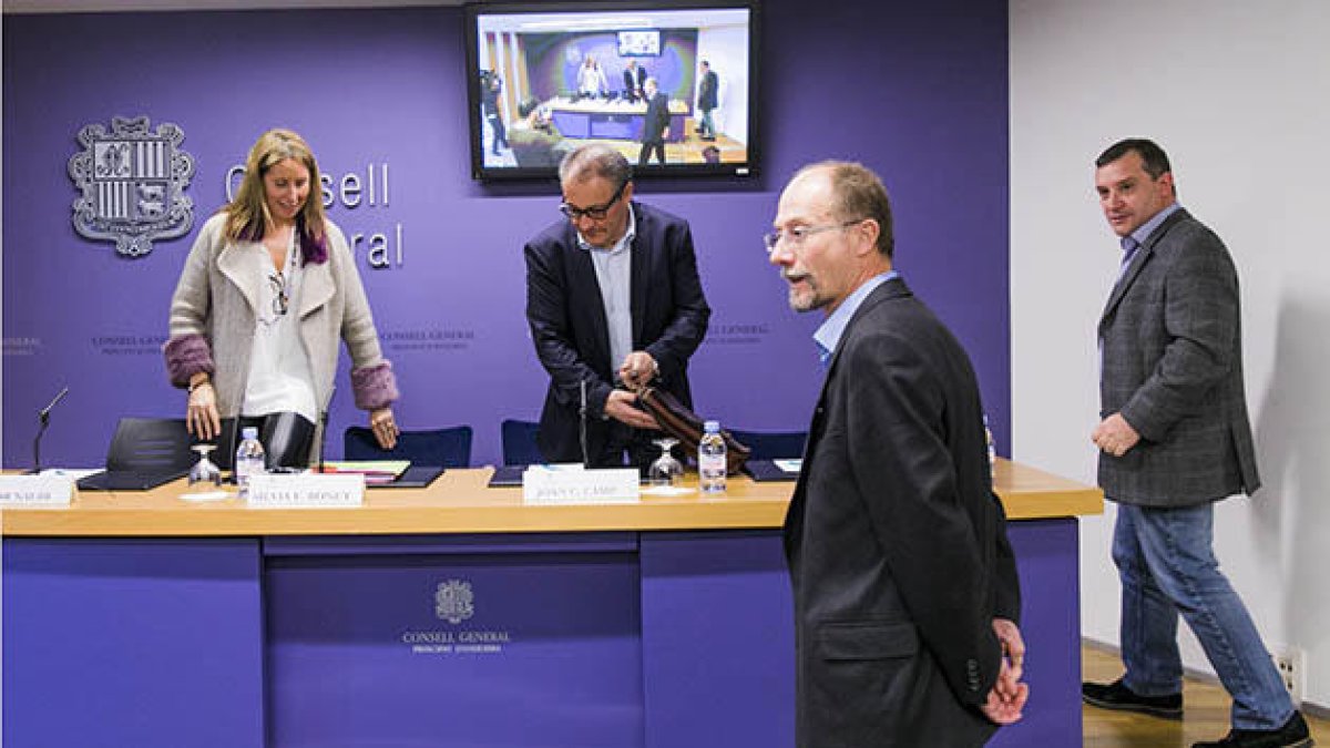 El grup mixt acorda nomenar president Josep Pintat