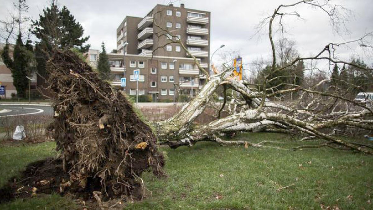Una forta tempesta causa set morts al nord d'Europa