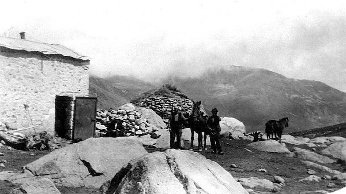 De l'esquí i el comerç