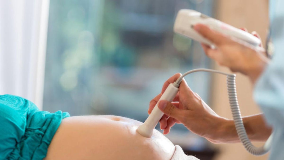 Reconeguda la paternitat d'un nadó gestat en un ventre de lloguer