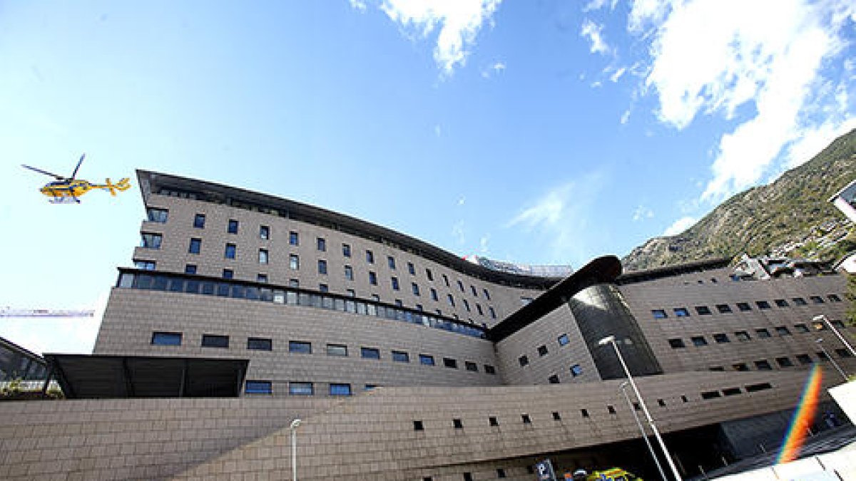 Quatre intoxicats ingressats en estat greu per menjar una planta verinosa