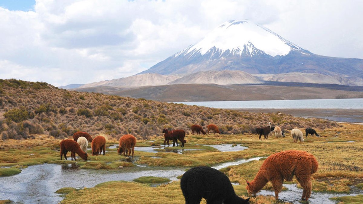 Exposició fotogràfica dels 'Paisatges de Xile'