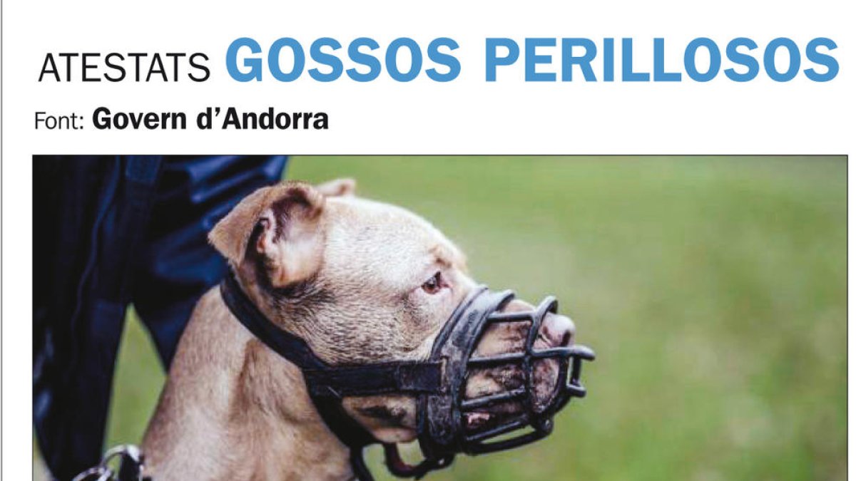 Preocupació per l'augment de les sancions lligades a gossos perillosos