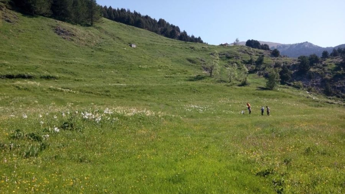 El Prat de Vidal guanya el Concurs de prats florits transfronterer