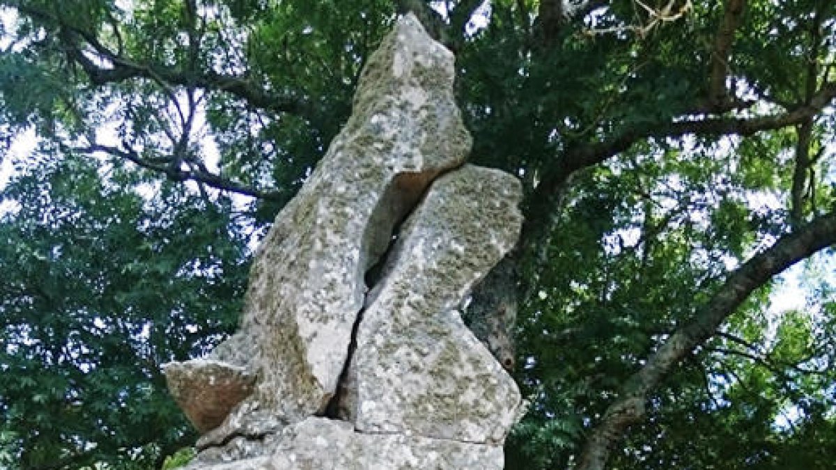 “Si mai arribem a saber qui som serà a través del passat”