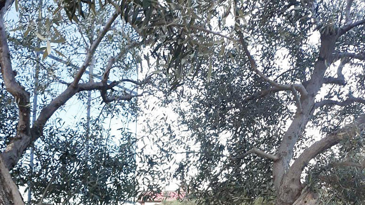 Construint futurs talents