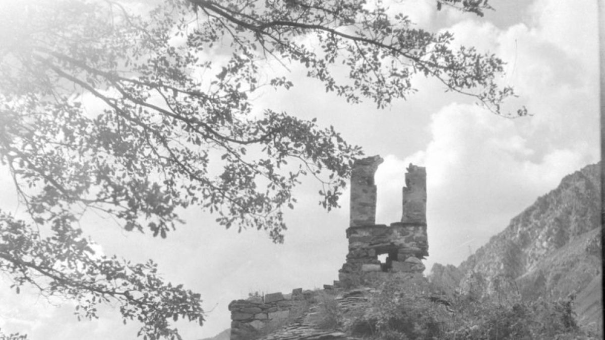 ONCA Bàsic es desplega per escenaris inèdits