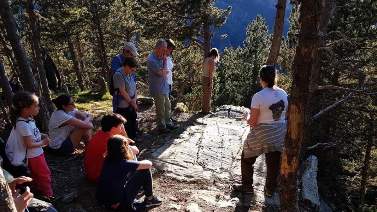 Polseguera sobre el roc