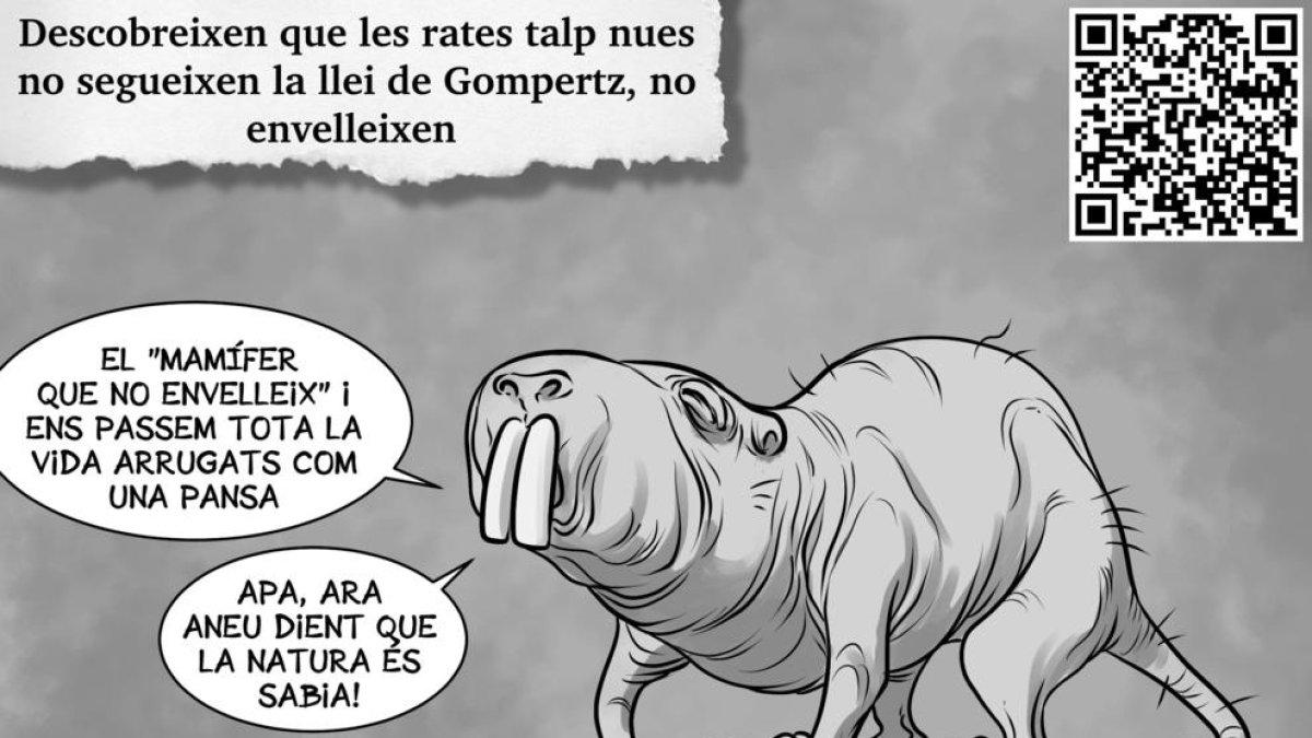 Planellades