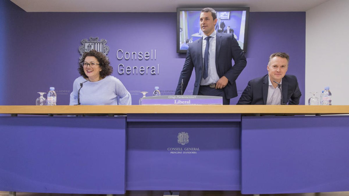 Esmena a la totalitat liberal a la Llei de la Funció Pública