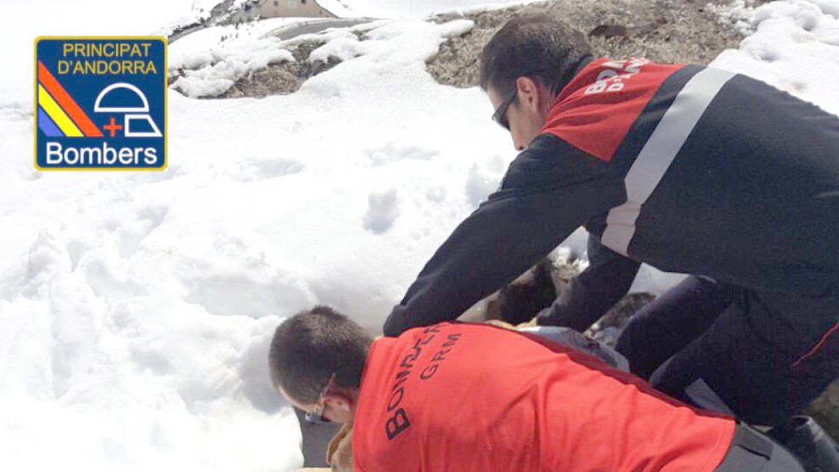 Un gos queda atrapat en un forat de 6 metres al Pas de la Casa
