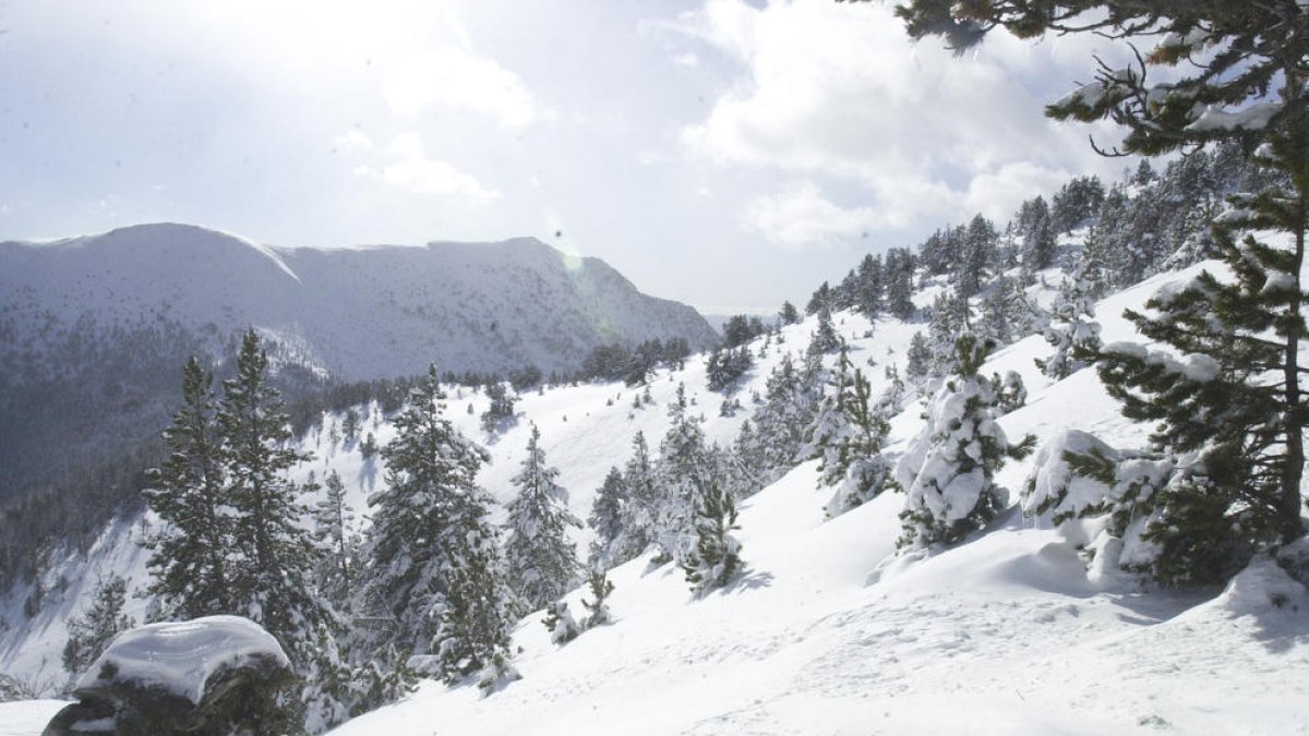 Protecció Civil recomana evitar activitats de neu fora de pistes