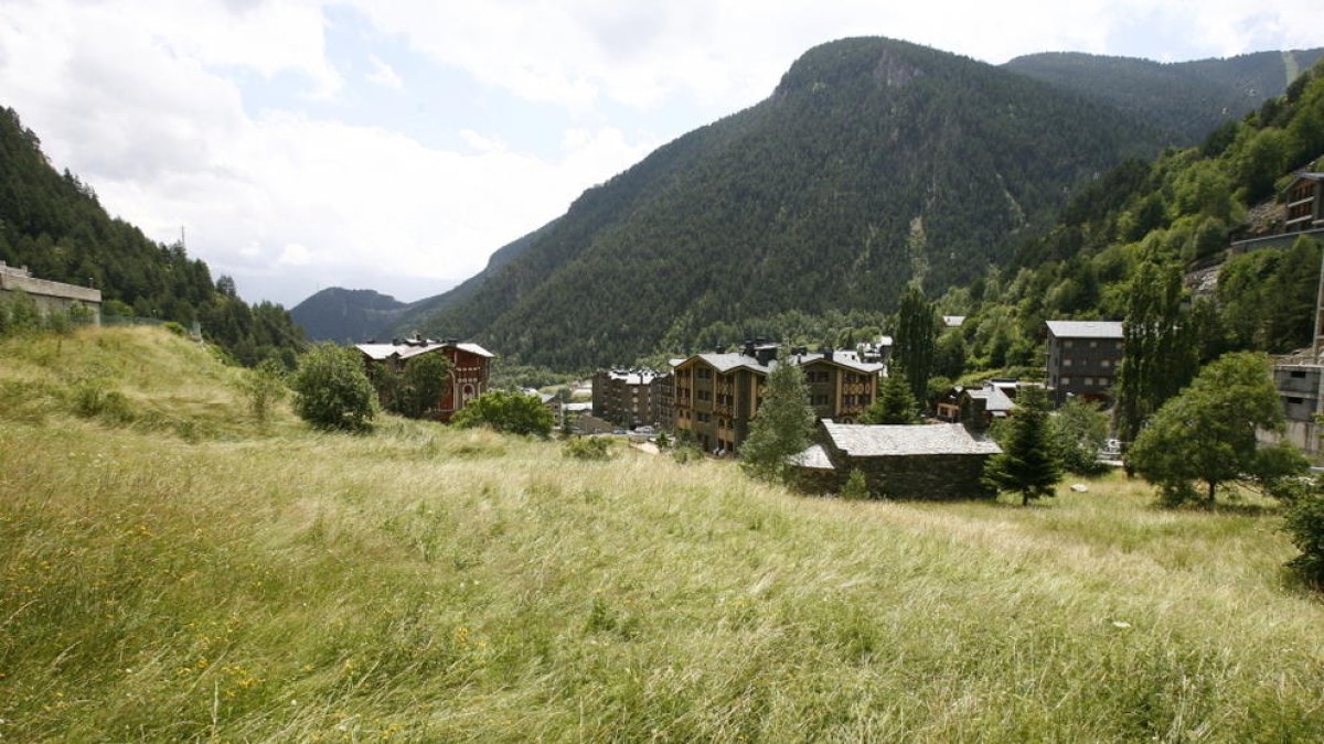 Ajuts per tornar a cultivar terres en desús