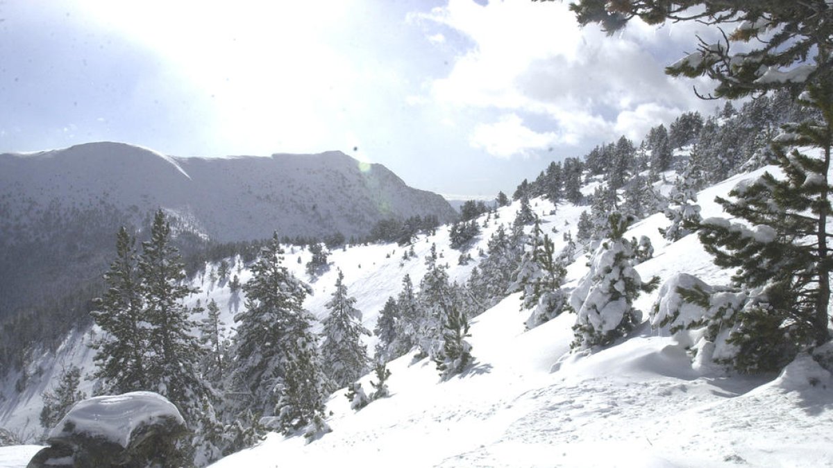 El risc d'allaus es rebaixa de nivell quatre a nivell tres