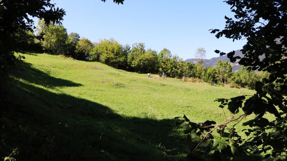 Nova zona d'esbarjo per a gossos al Prat del Garal