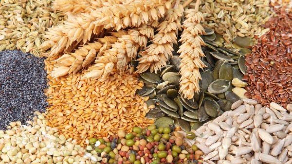 Introdueix llavors a la teva dieta