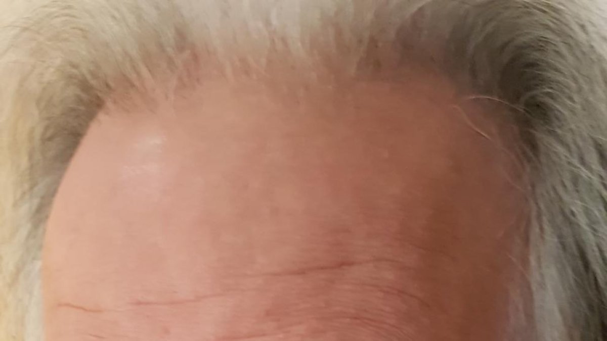 Pere González Nebreda