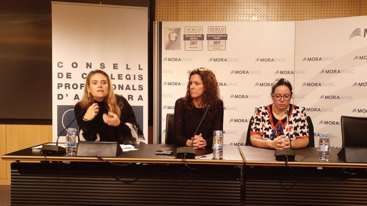 Els col·legis professionals autoritzaran l'exercici dels titulats estrangers