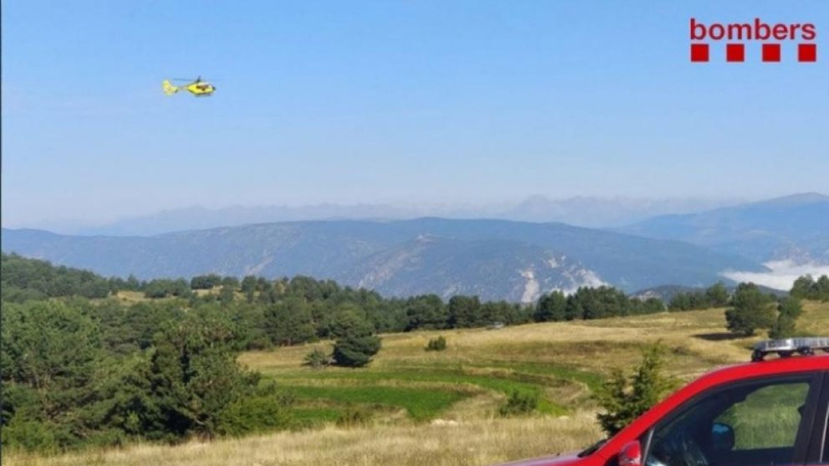 Recerca a Fígols d'un boletaire desaparegut