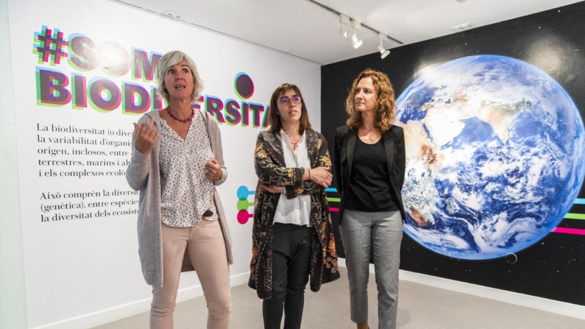 Noves sessions d''escape room' al Museu del Tabac