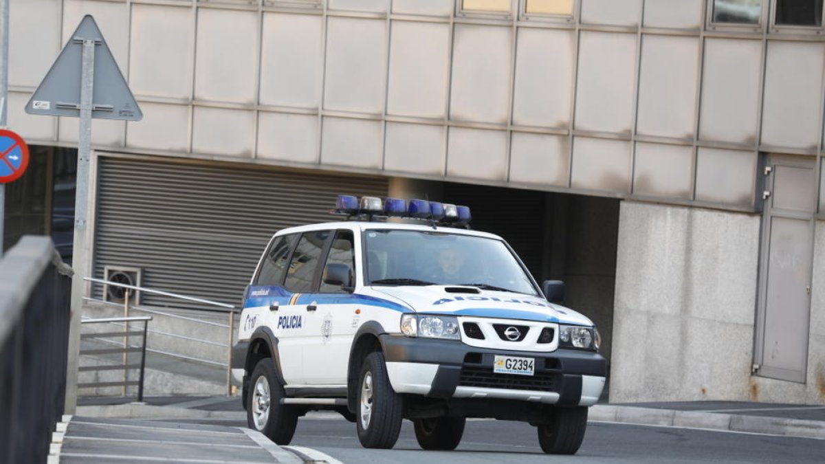 Detenen una dona de fer feines per robar en cases