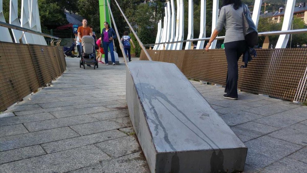 La capital multarà els propietaris que no dilueixin els orins dels gossos