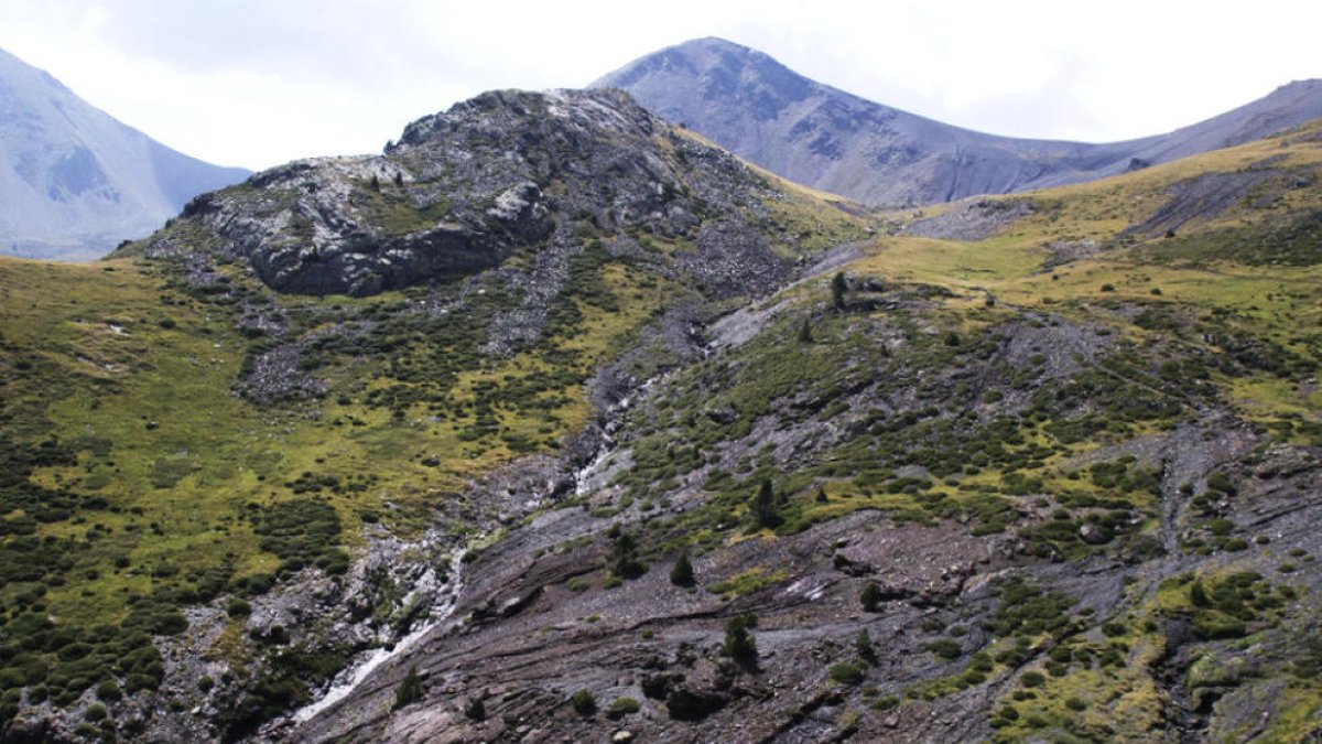 Estable i pendent d'operació el pilot de l'ultralleuger ferit