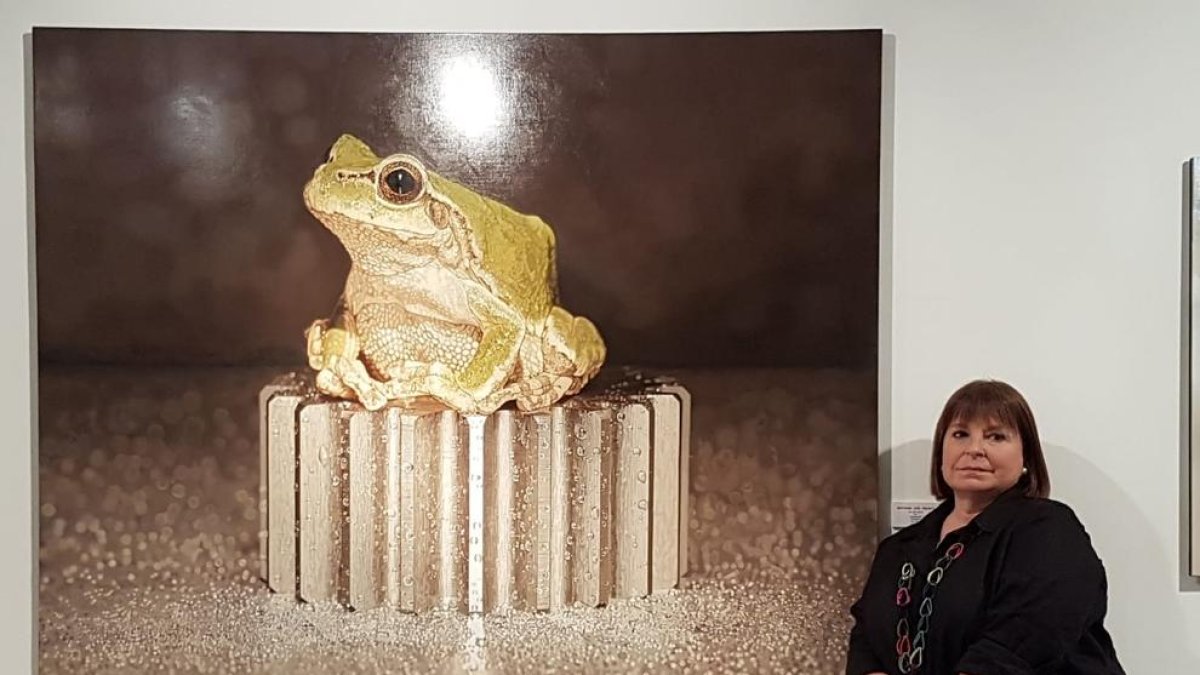 Nova mirada a l'hiperrealisme