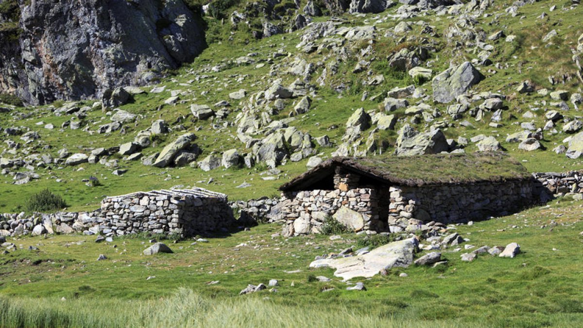 La corporació prepara una ruta per vuit orris