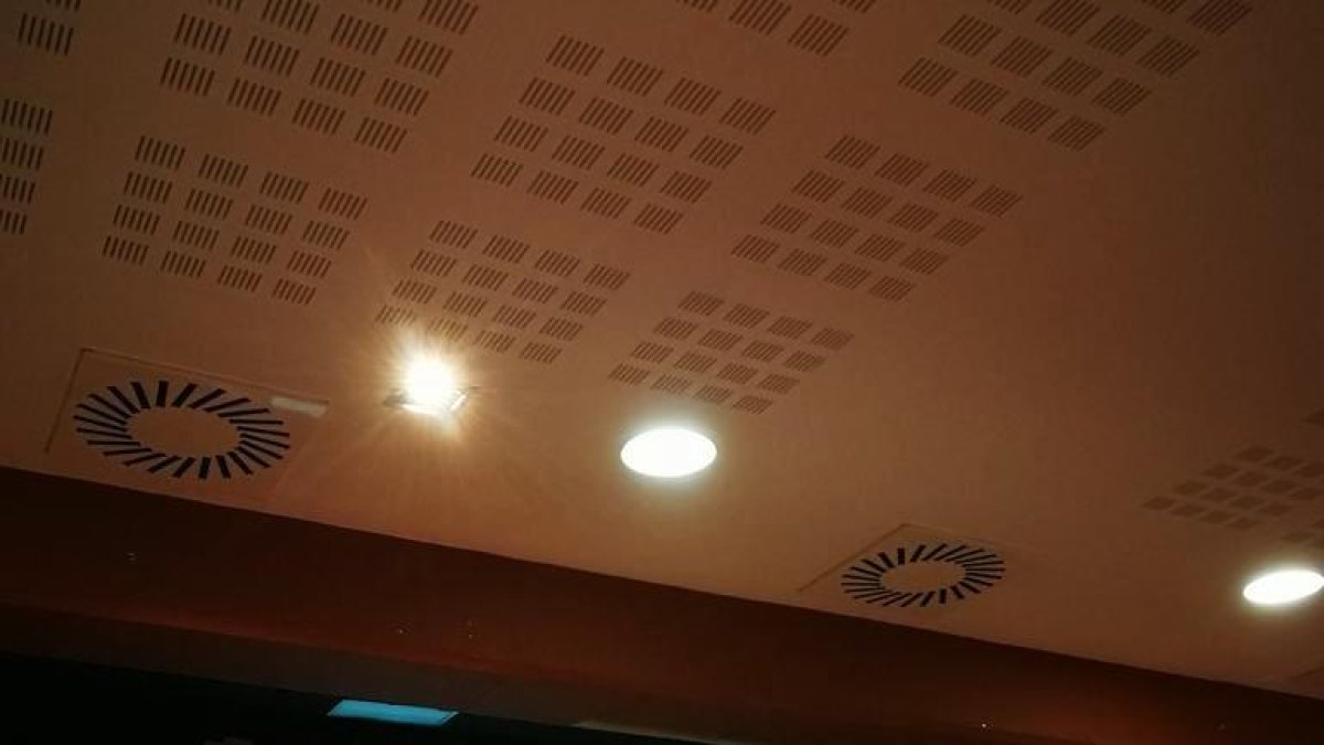 Clouen les IX Jornades d'etnobotànica al Principat