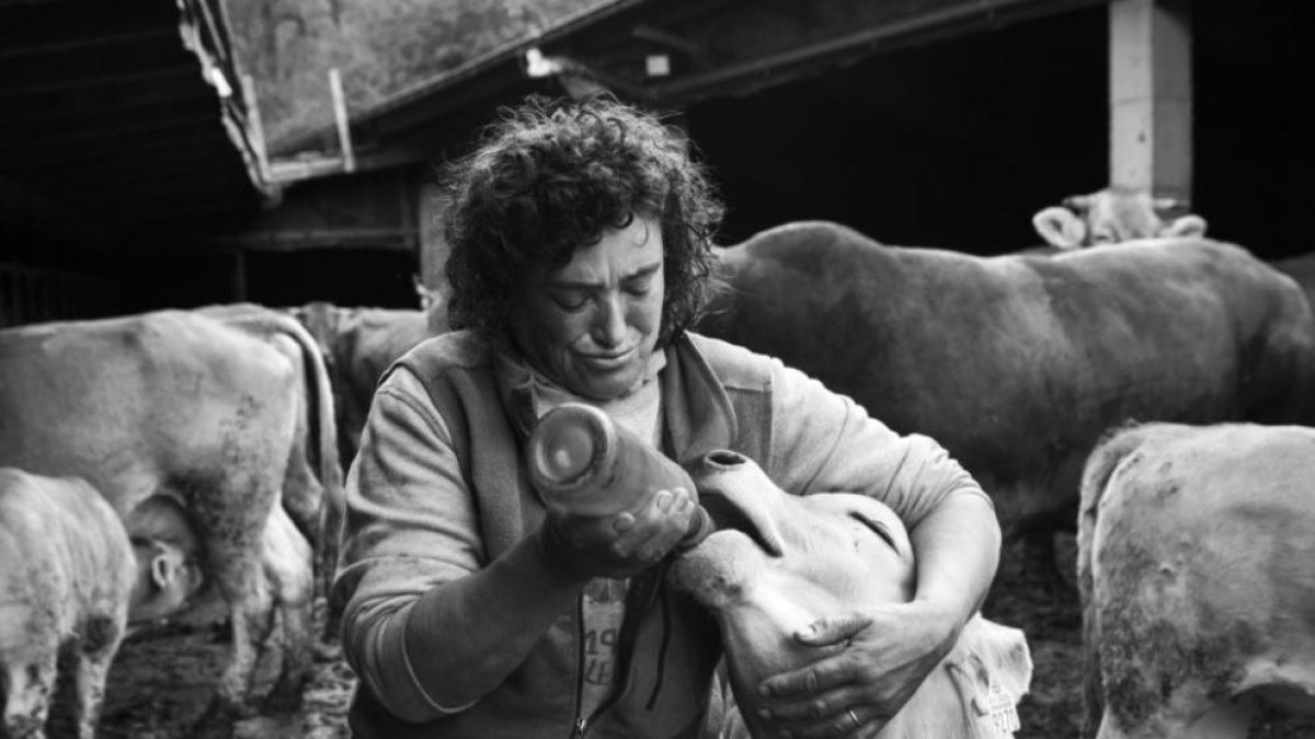 'Vides de muntanya', en fotografies