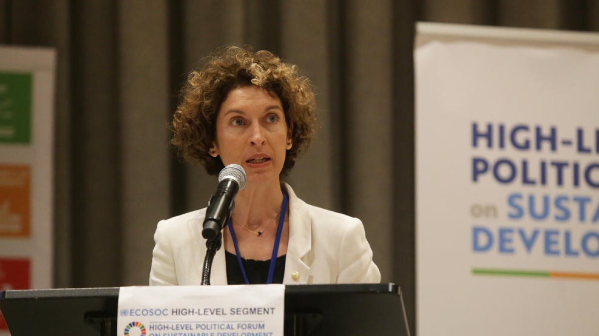 Ubach assegura a l'ONU el suport d'Andorra en el desenvolupament sostenible