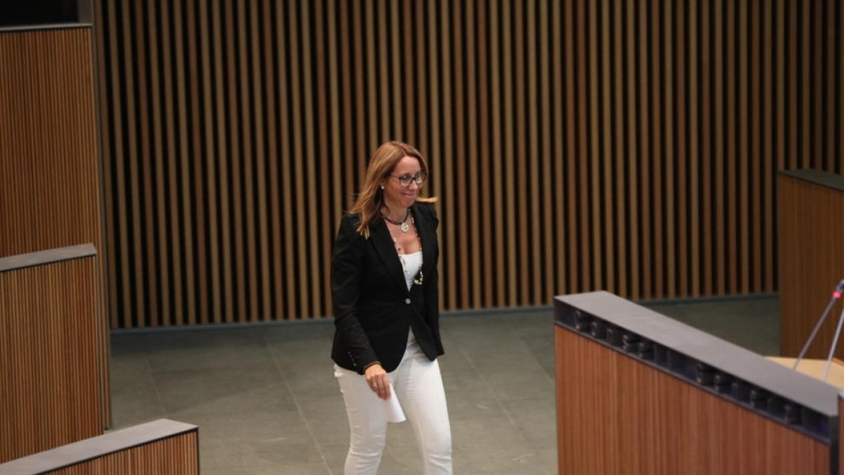 Acusen Bonet de plagiar la llei de professions sanitàries