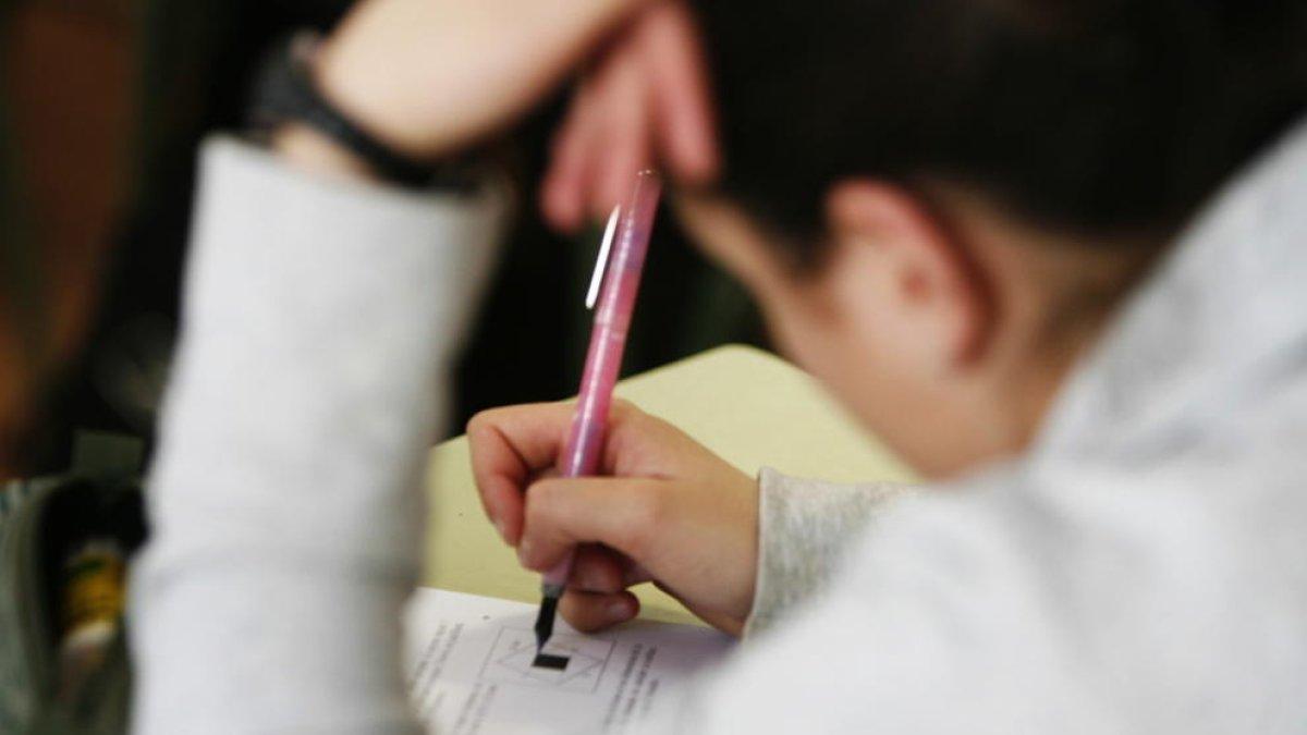 Beques per als alumnes que cursen un doctorat