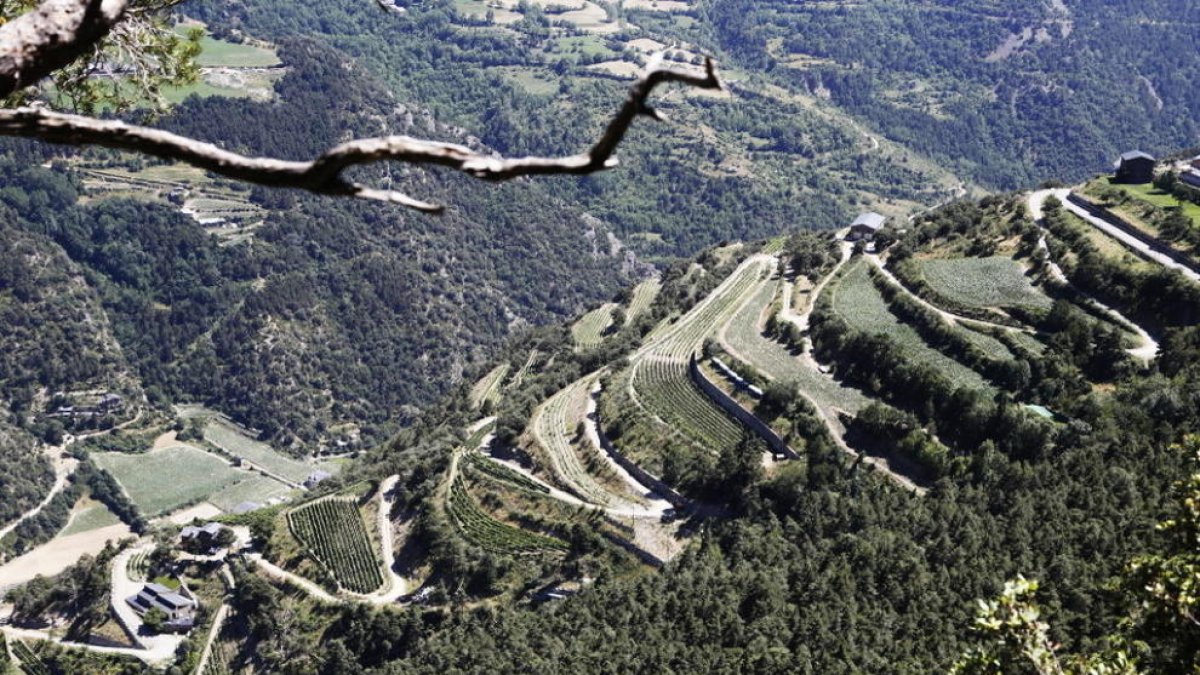 El comú dubta que l'heliport privat funcioni aquest any