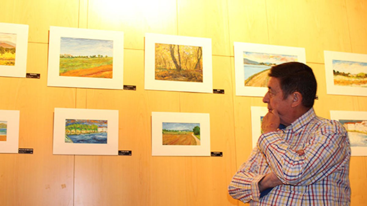 Joan Torruella, a Bingo Star's