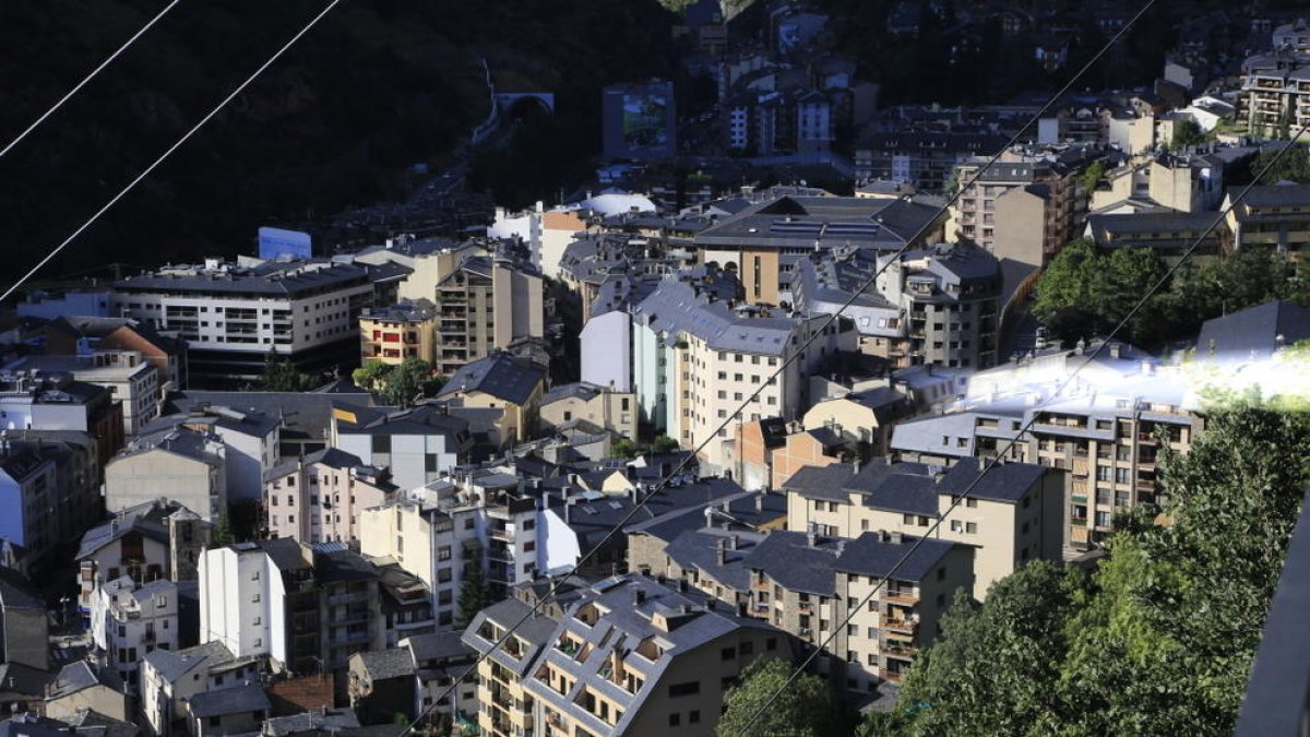 Demanen quatre mesos per maltractament a una gossa