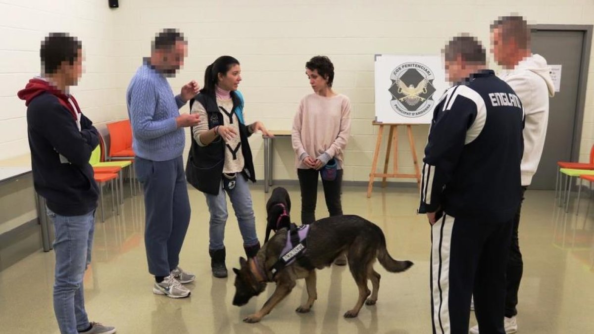 El Centre Penitenciari ofereix un curs d'auxiliar en educador caní