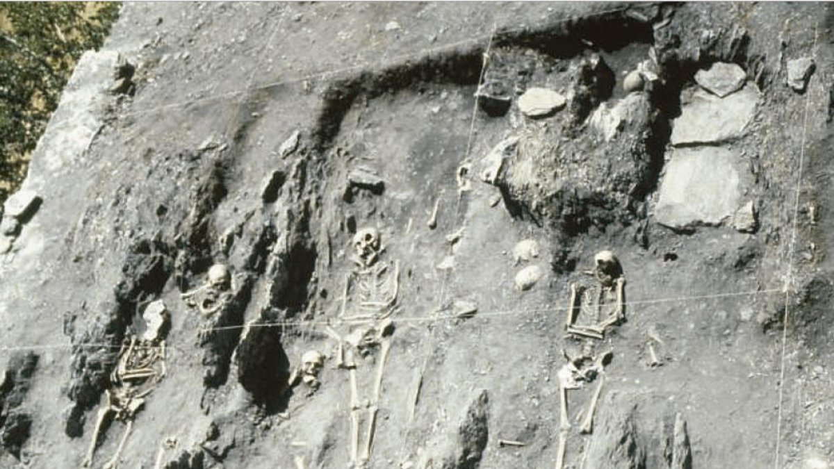 Materials medievals als llimbs