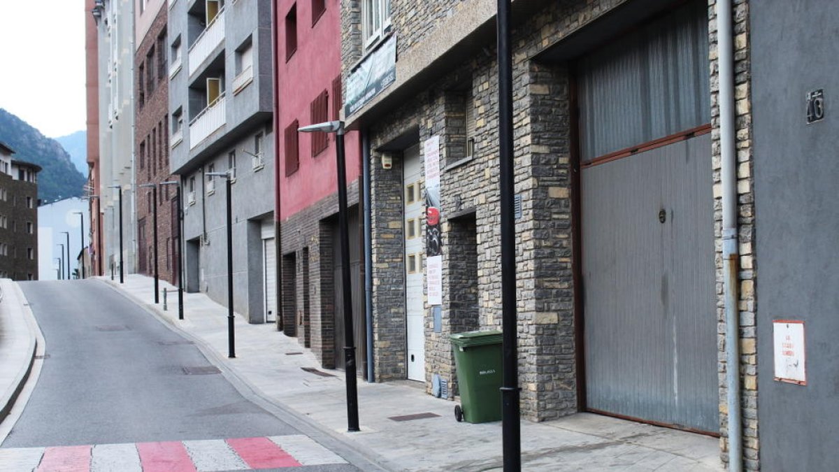 Els excrements de Prada Motxilla són de ratpenat