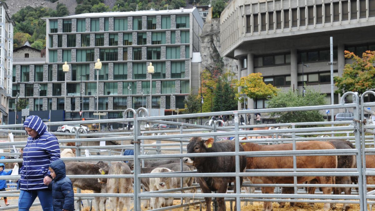 “Les nostres arrels”