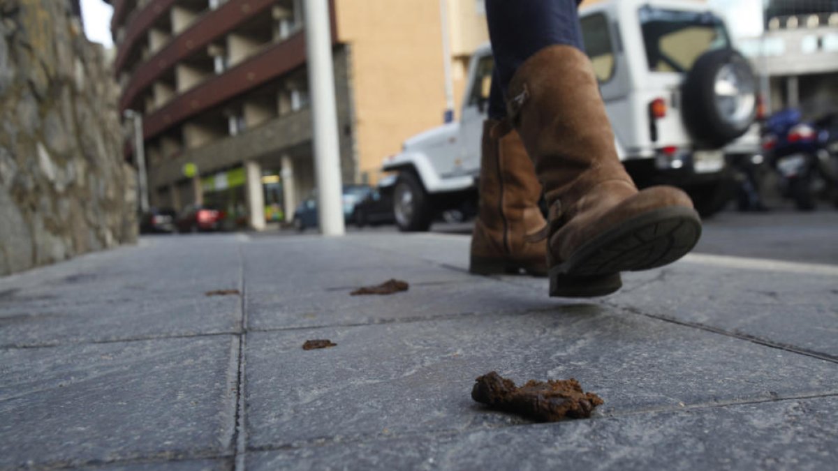 El rastre de la tifa