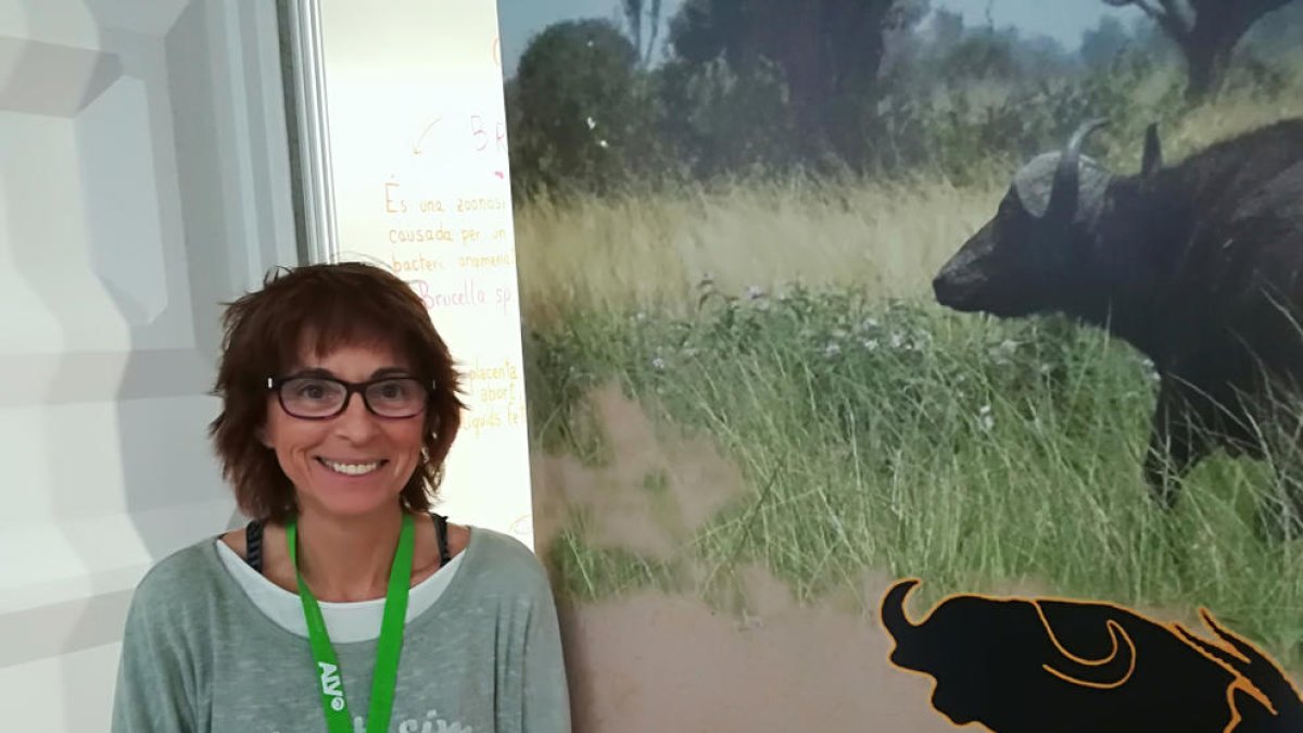 “Millorar la salut del bestiar és millorar la salut de la gent”