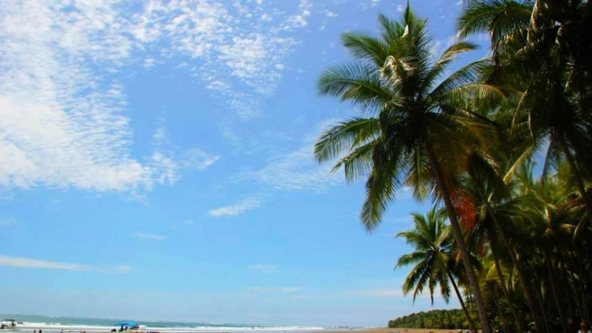 Navegar amb balenes i dofins